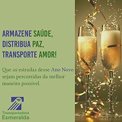 Feliz Ano Novo! Feliz Ano Novo!