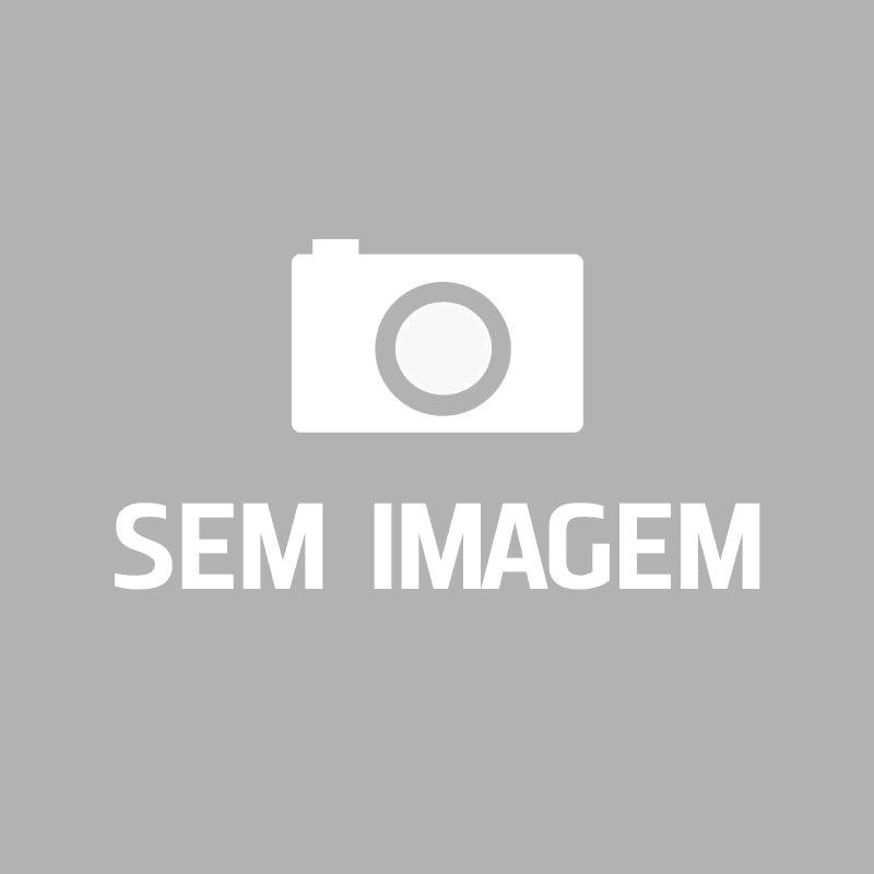 Terceira Placa nos veículos de cargas deixa de ser obrigatória Terceira Placa nos veículos de cargas deixa de ser obrigatória